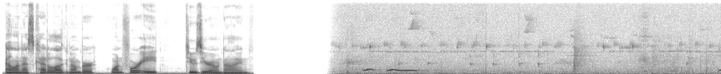 Western Fire-eye (maura Group) - ML148209