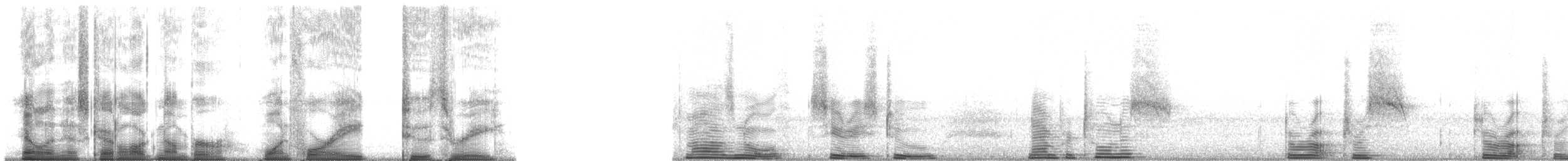 Estornino de Swainson - ML14823