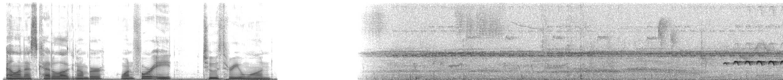 Western Fire-eye (maura Group) - ML148231
