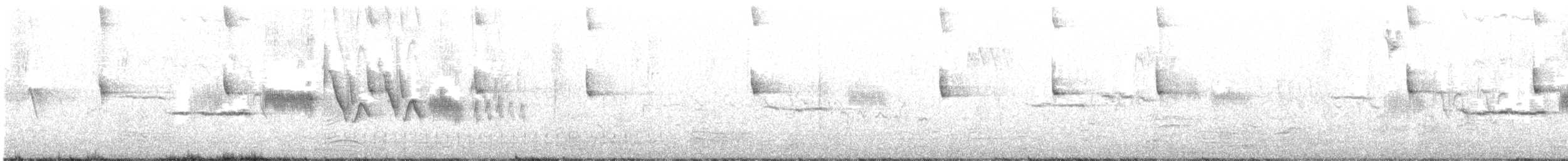 Porsuk Serçesi (nuttalli/pugetensis) - ML148256641