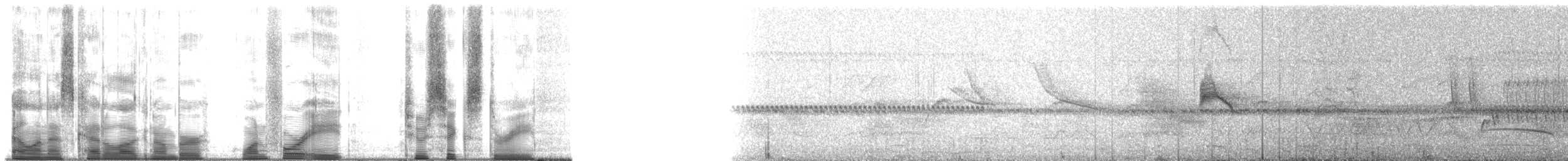Белокрылая вдовка (aterrimus/anthracinus) - ML148263