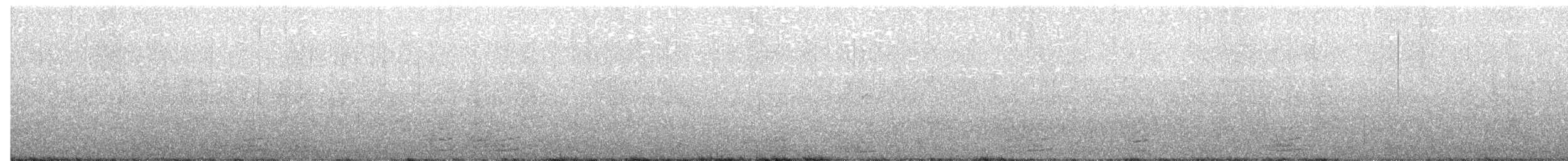 Чёрная казарка (hrota) - ML148312161