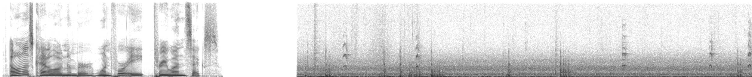 Des Murs's Wiretail - ML148316