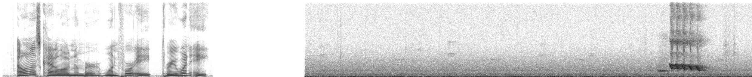 Chucao Tapaculo - ML148318