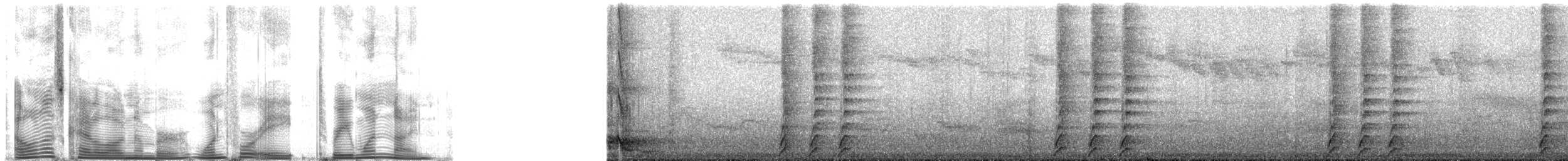 Black-throated Huet-huet - ML148319