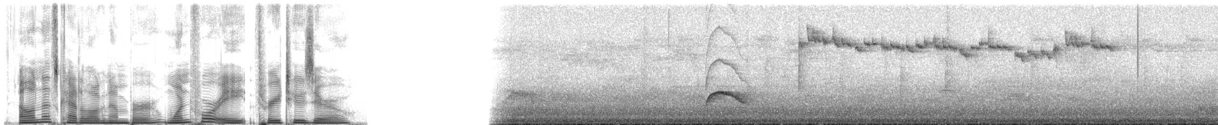 Green-backed Firecrown - ML148320