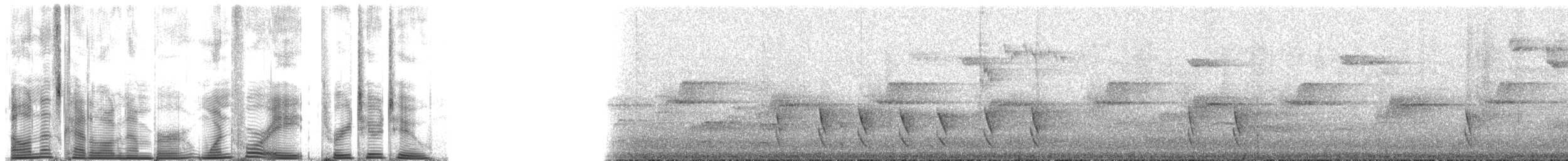 Ochre-flanked Tapaculo - ML148322