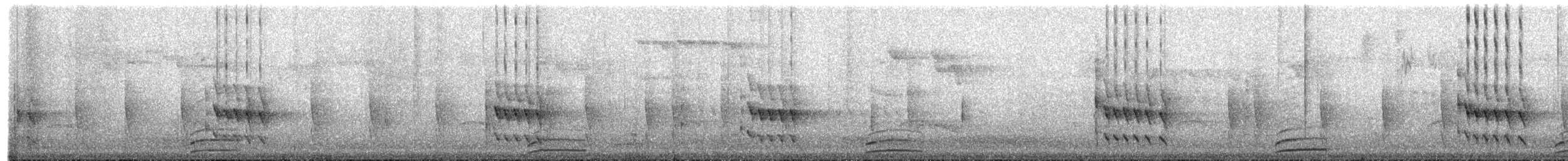 Des Murs's Wiretail - ML148323