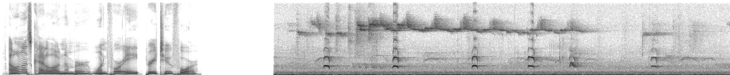 Ochre-flanked Tapaculo - ML148324