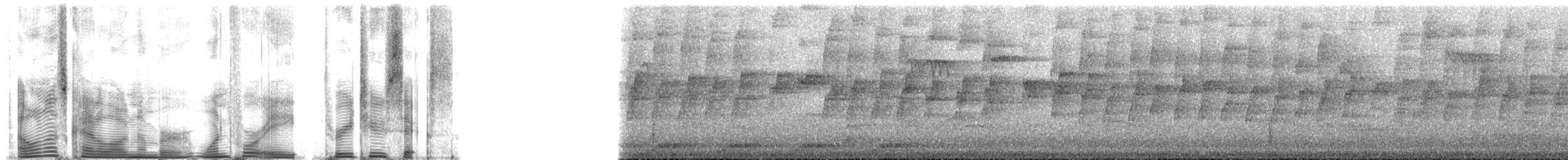 Thorn-tailed Rayadito - ML148326