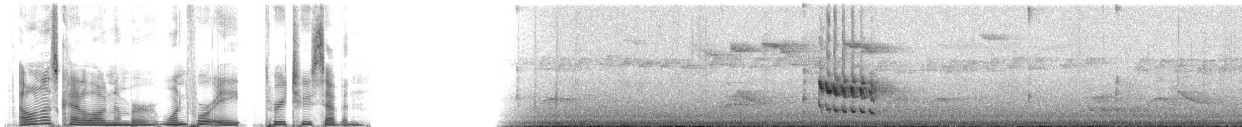 Magellanic Tapaculo - ML148327