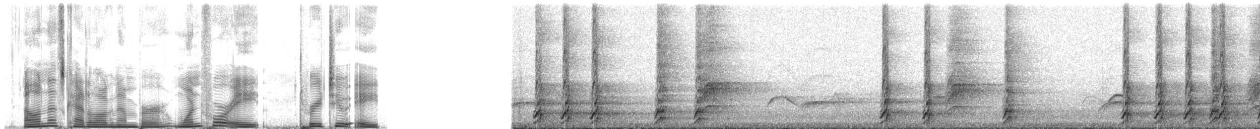 Black-throated Huet-huet - ML148328