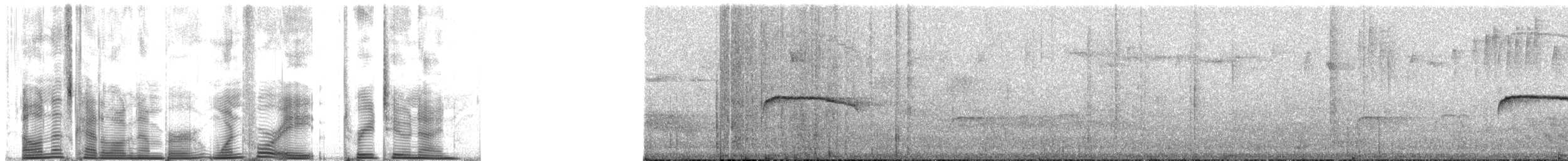 Patagonian Tyrant - ML148329