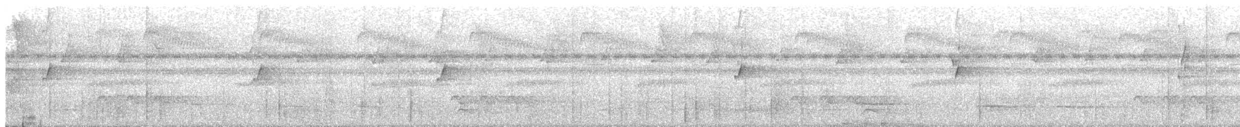 svartnakkemaurvarsler - ML148349211