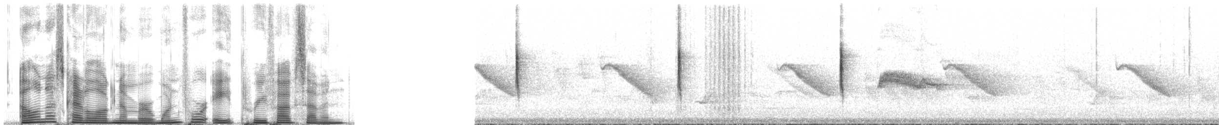 Black-throated Gray Warbler - ML148357