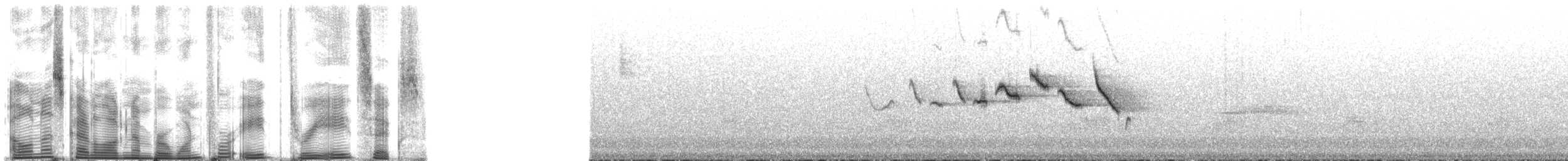Веерохвостая корольковка - ML148386