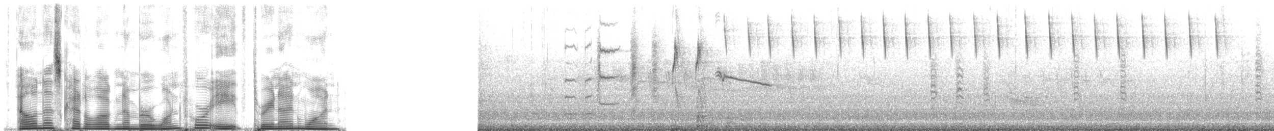 kolibřík mexický (ssp. beryllina/viola) - ML148391