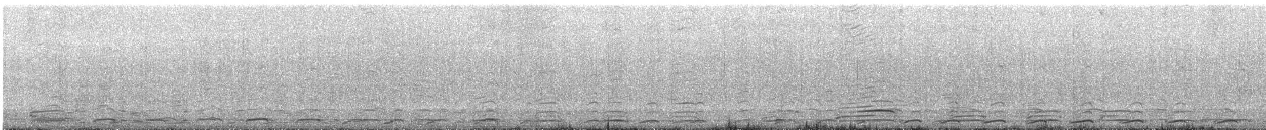 Western x Glaucous-winged Gull (hybrid) - ML148451511