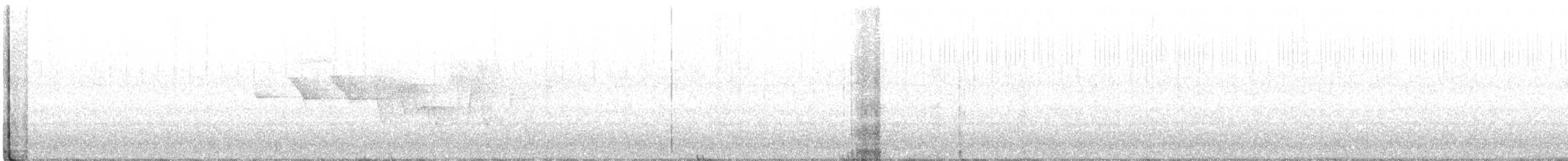 Трясогузковый певун - ML148484721