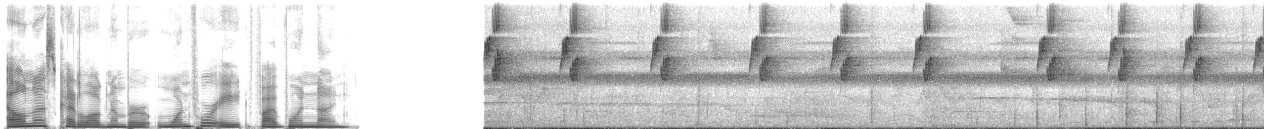 Большеклювый колибри-отшельник [группа moorei] - ML148519