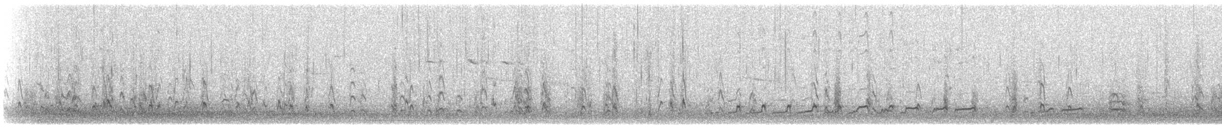 Short-billed Dowitcher - ML148580631