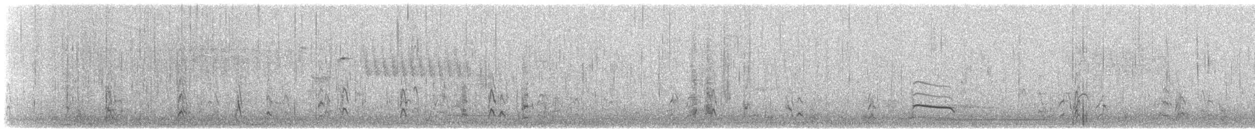 Short-billed Dowitcher - ML148580641