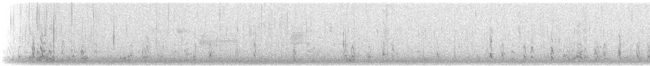 Short-billed Dowitcher - ML148580691