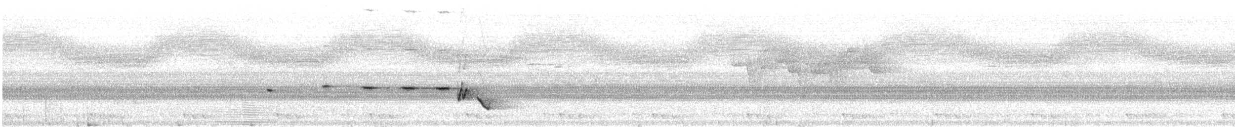 Gray-bellied Tesia - ML148625631