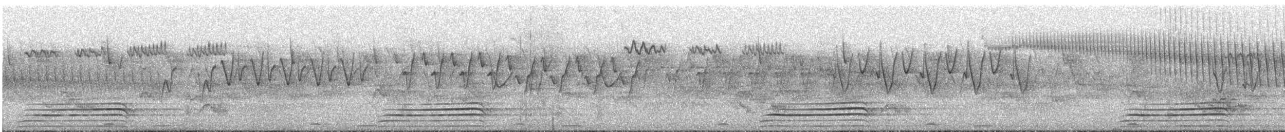 Трагопан чорноголовий - ML148637631