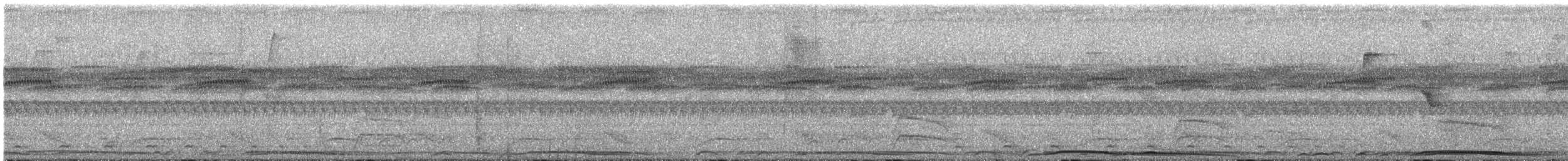 holub neotropický - ML148638111
