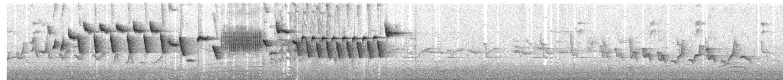 střízlík obecný (ssp. indigenus) - ML148659411