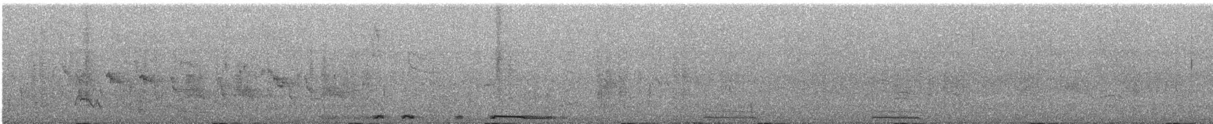 White-winged Dove - ML148661721
