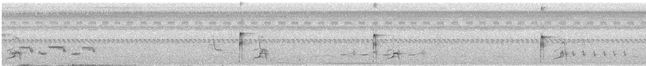 Riefenschnabelani - ML148663601