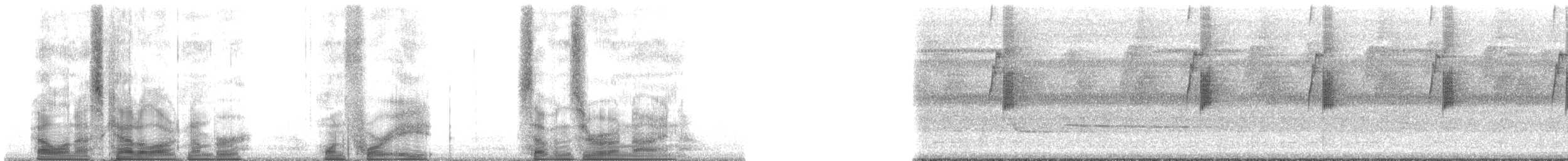 Большеклювый колибри-отшельник [группа moorei] - ML148709