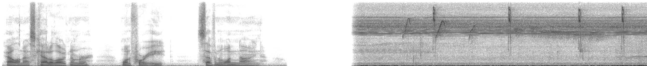Turuncu Başlı Furnarid - ML148719