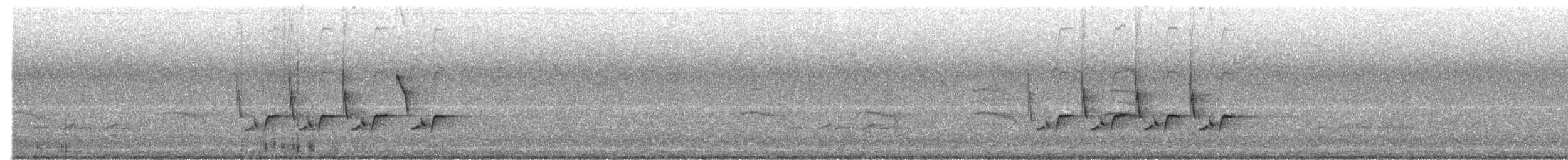 Carolina Wren - ML148779571