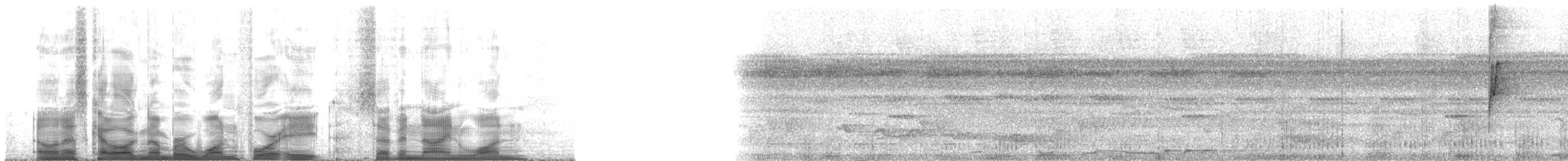 Weißbart-Schattenkolibri - ML148791