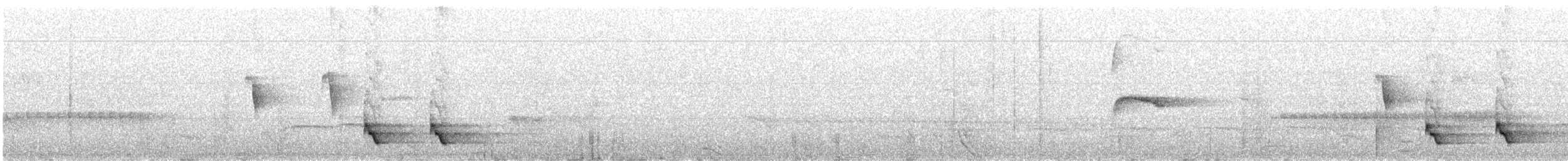 Белоухий крапивник - ML148818711