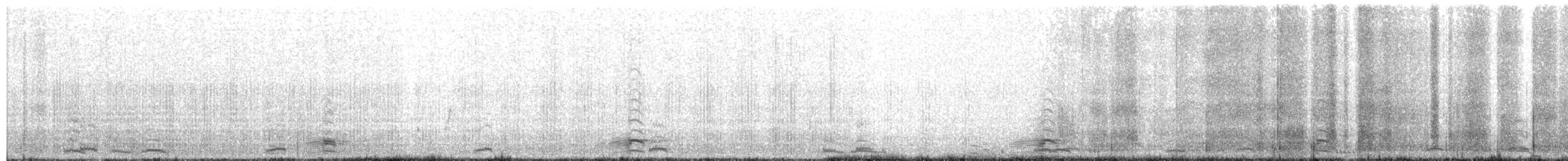 Cygne siffleur - ML148831701