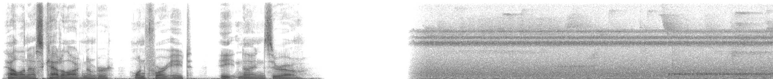 Gözlüklü Yerçavuşu (perspicillatus) - ML148890