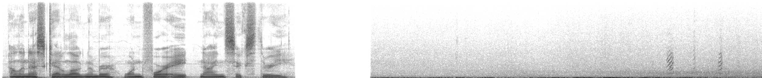 zoboun americký (ssp. niger) - ML148963
