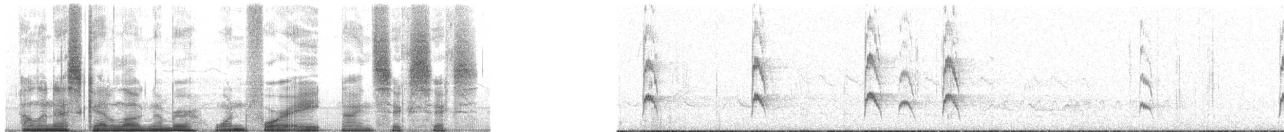 Red-cockaded Woodpecker - ML148966