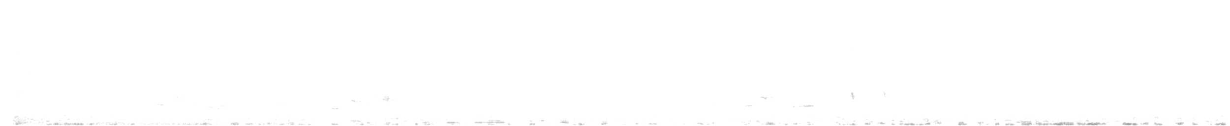 svarttrost - ML149033491