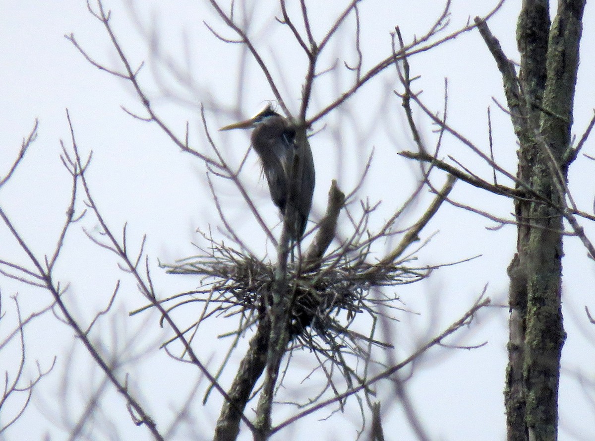 Nespecifikováno - Bill Halverson