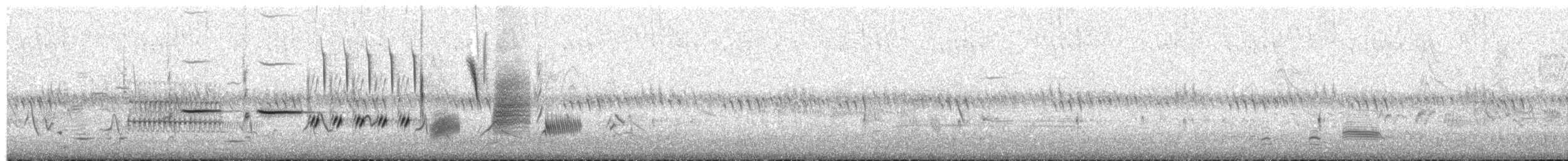 Song Sparrow - ML149068651