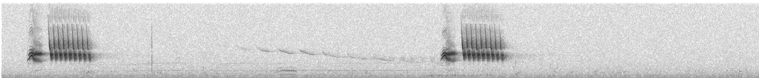 Тауї плямистий - ML149104121