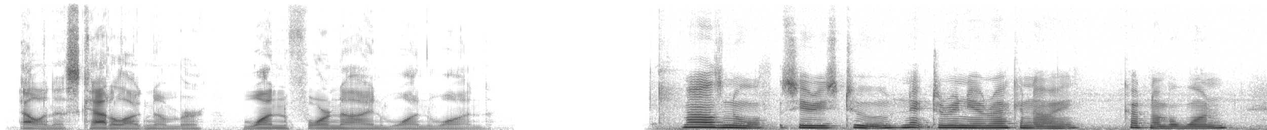 strdimil zlatokřídlý - ML14911