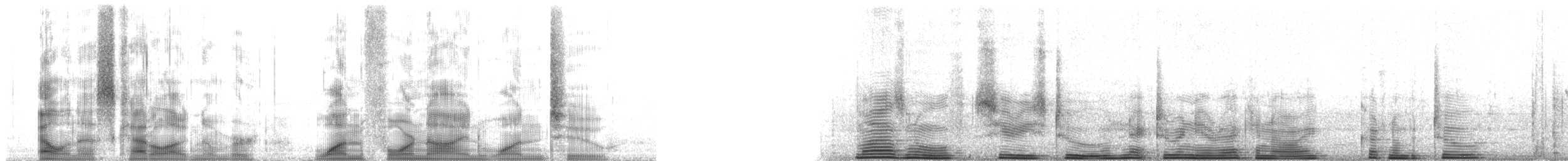 strdimil zlatokřídlý - ML14912