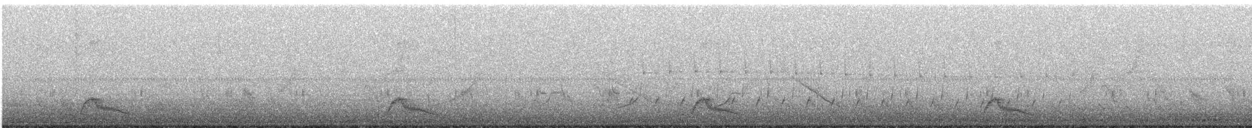 Porak - ML149207081