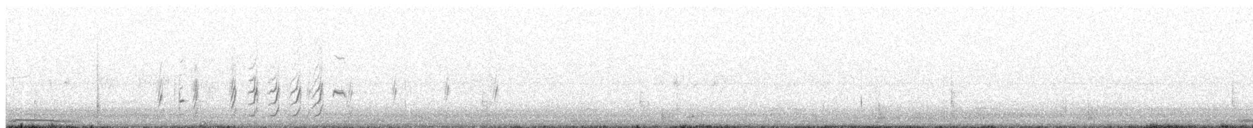 Белокрылая горлица - ML149263581